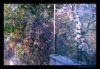 monet