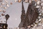riflessi