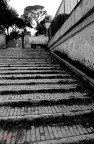 Scalinata De Rocky