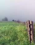 Anterselva al telefono