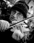 Il Violinista