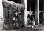 cascina lombarda