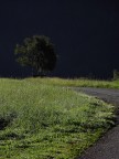 E poi la tempesta...