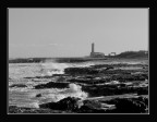 Il Faro