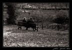 momenti...