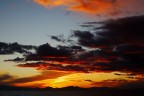 alba