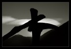 controluce
