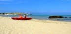 Lido Molinella, Vieste.
Sono sempre graditi suggerimenti e critiche