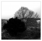coeurs en hiver