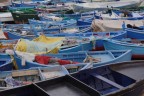 E' la mia prima foto....graditissimi consigli e critiche!!!
L'ho scattata vicino al mare in una mattinata molto nuvolosa...
Grazie!