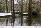 inverno nel parco