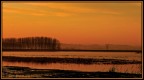 alba in Padule 2008