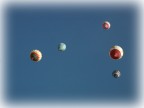 ... cosi` in alto sembrano stelle ...