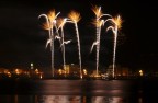 Palme.
