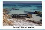 Questa  riferita sempre all'isola di mal di ventre per  il versante rivolto a est al riparo dal furioso maestrale