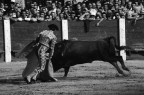 Torero, Penafiel, Spagna