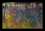 impressioni  d, autunno