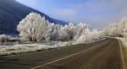 on the road