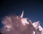 fa freddo (-12) ci sono dei cristalli di neve  a 1200 mt  con il sole dietro,io ho l'olympus 5050,ci provo a voi i commenti
Fabiano