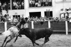 Corrida, Spagna