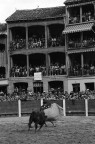 Torero, Spagna