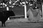 Torero, Spagna