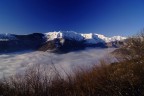 Ciao a tutti, questa  la prima immagine che invio, non  ne sono completamente convinto, vorrei gentilmente il vostro parere. 
In generale anche sul mio ingresso al forum