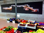 Il frutto proibito