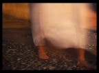 evaNescenze