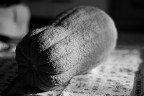 Zucca