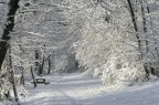 La neve in riva al lago di Varese