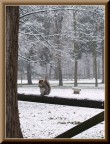 brrr...che freddo