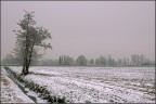 campagnie milanesi