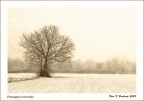 paesaggi invernali