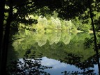Arboretum
