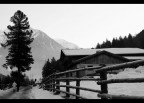 passeggiata invernale