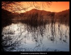 Riflessi nel Lago
