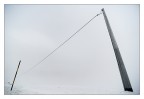 Linea