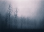mist 3333