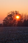 Colori del mattino