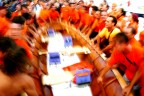 Festeggiamenti per il Palio del Golfo di La Spezia.
Se vuoi vedere la serie visita il mio sito http://alessandrocorio.altervista.org