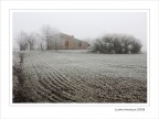 Madre Terra... silenziosa