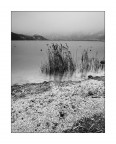 Foschia Nevosa #5