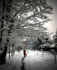 walkin' 'n the snow
