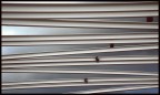 linEE bianCHE