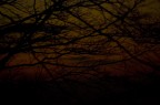 Il Tramonto Morto