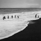mare