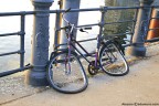 La bici di Dal