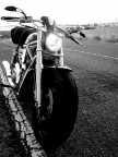Scattata con : Casio Exilim 3.2 Mp