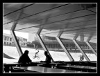 scansione da negativo....
pellicola ilford hp5,50mm f 5.6(se non ricordo male),postproduzione noise ninja...
consigli e critiche sempre ben accetti